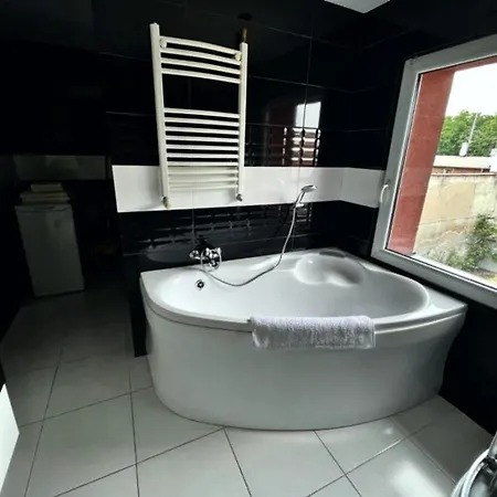 Zabrze-zaborze アパート ザブジェ